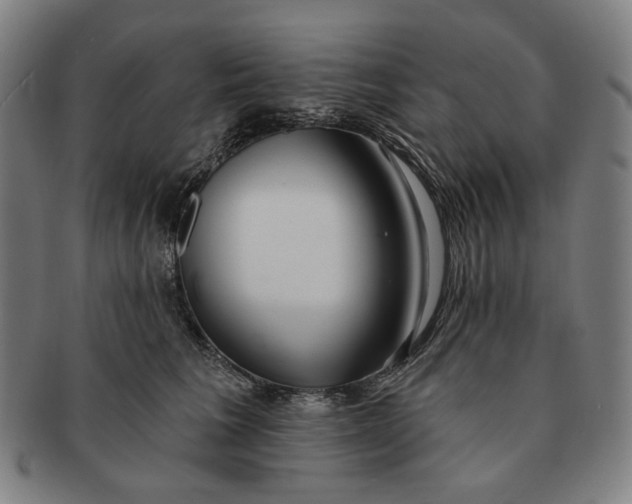 X0000091230613200708301517