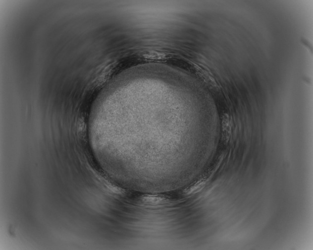 X0000091230614200708301517