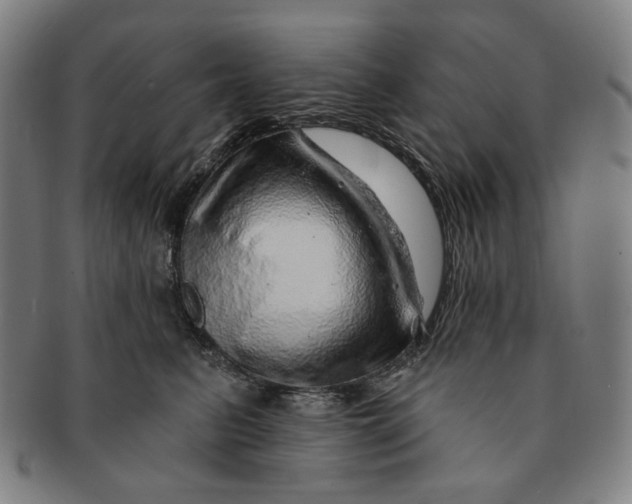 X0000091230615200708301517