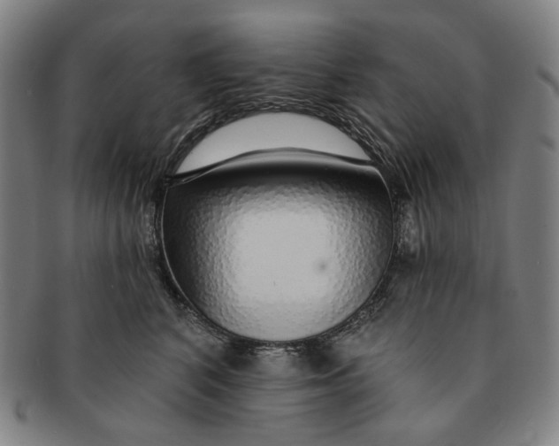 X0000091230616200708301517