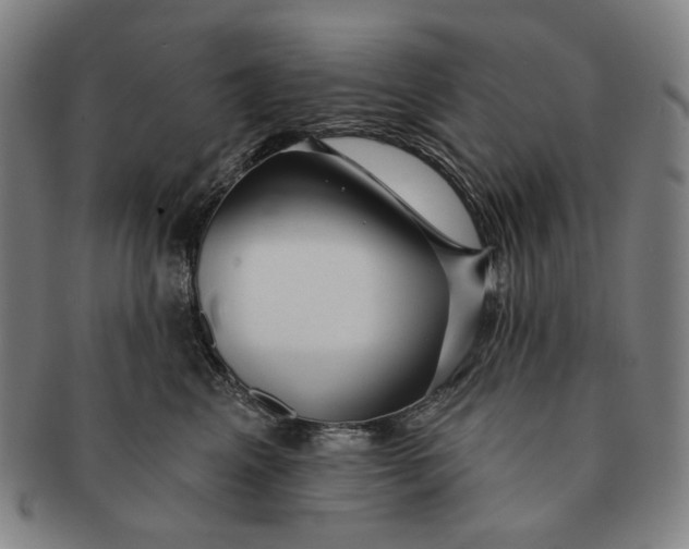 X0000091230617200708301517