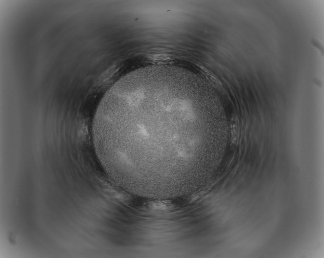 X0000091230618200708301517