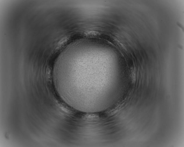 X0000091230619200708301517