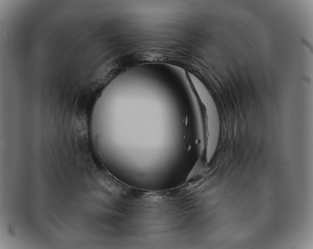X0000091230620200708301517