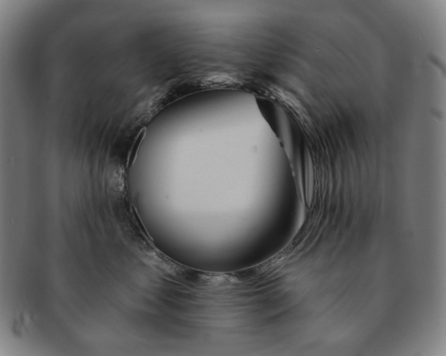 X0000091230621200708301517