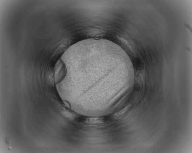 X0000091230622200708301517