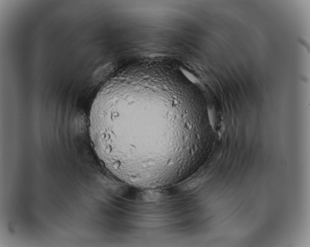 X0000091230623200708301517