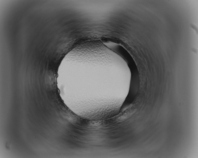 X0000091230624200708301517