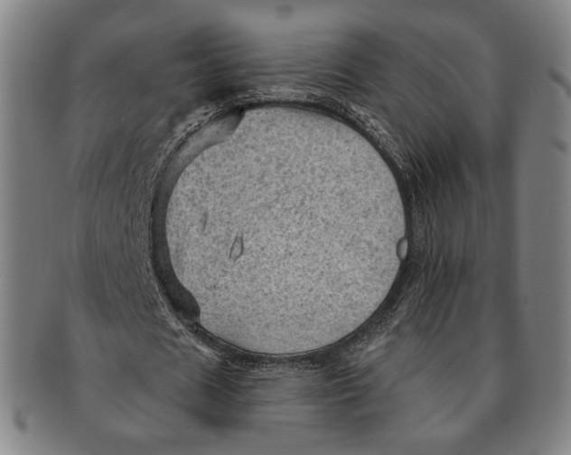 X0000091230625200708301517