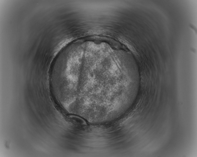 X0000091230626200708301517