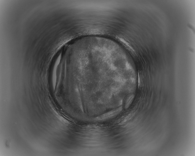X0000091230627200708301517