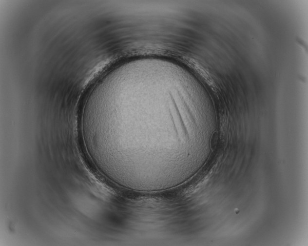 X0000091230629200708301517