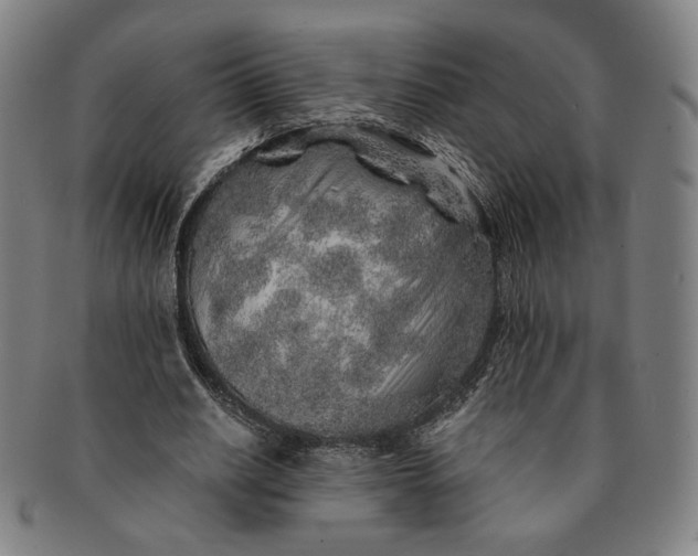 X0000091230630200708301517