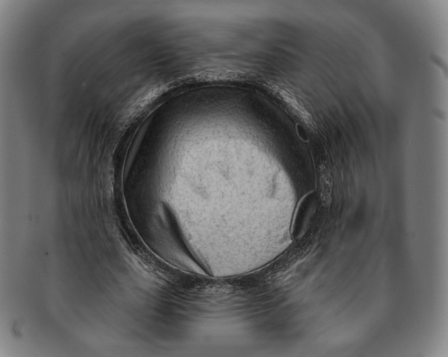 X0000091230631200708301517