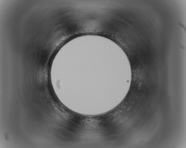 X0000091230632200708301517