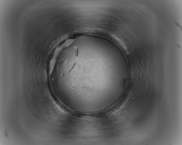 X0000091230633200708301517