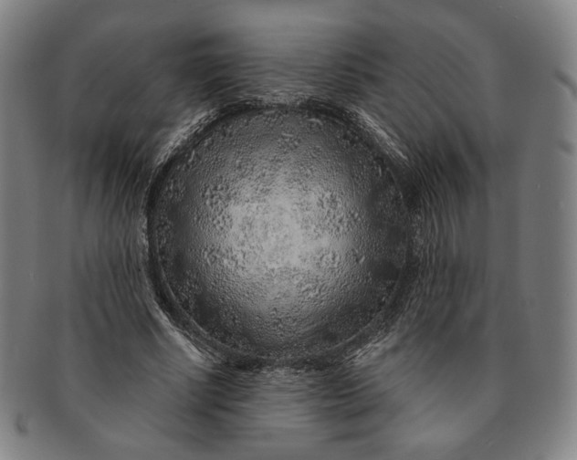 X0000091230634200708301517