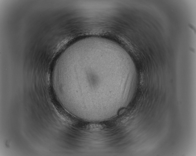 X0000091230636200708301517