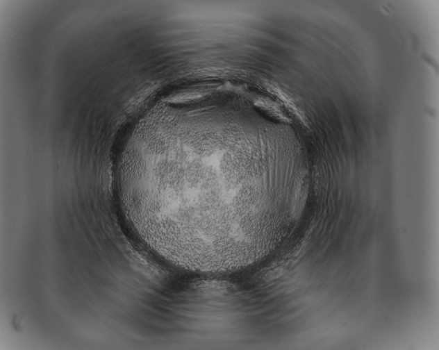 X0000091230637200708301517