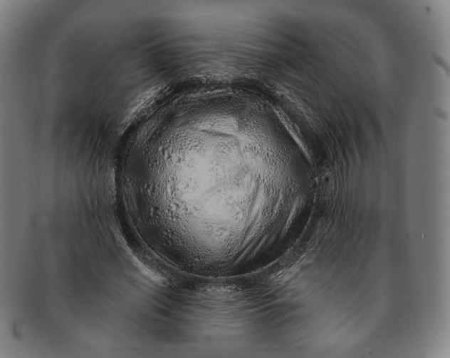 X0000091230638200708301517