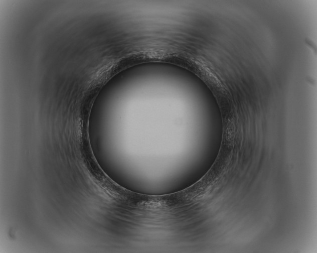 X0000091230639200708301517