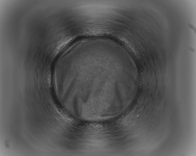 X0000091230640200708301517