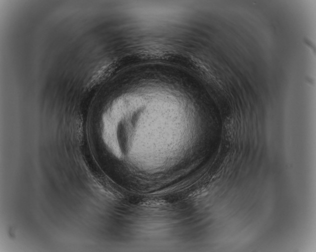 X0000091230642200708301517