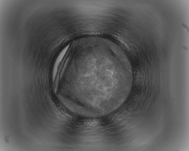 X0000091230643200708301517