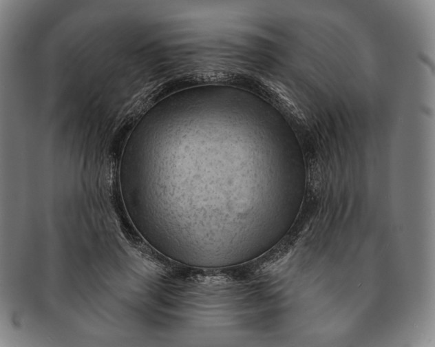 X0000091230645200708301517