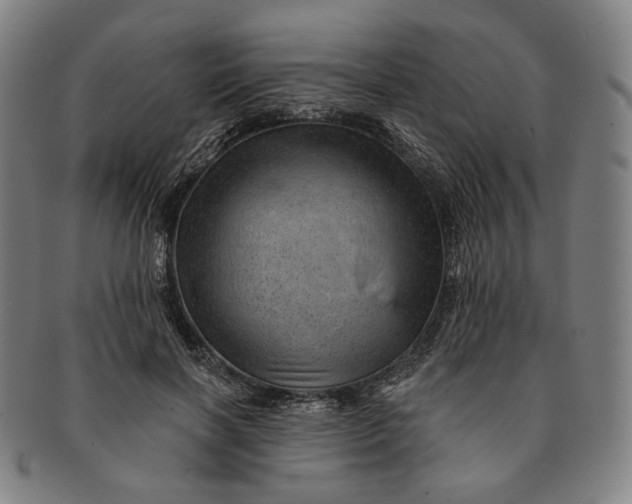 X0000091230646200708301517