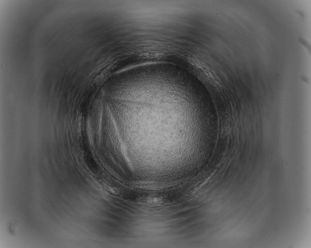 X0000091230647200708301517