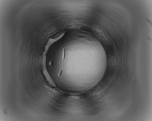 X0000091230649200708301517
