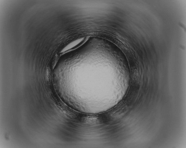 X0000091230651200708301517