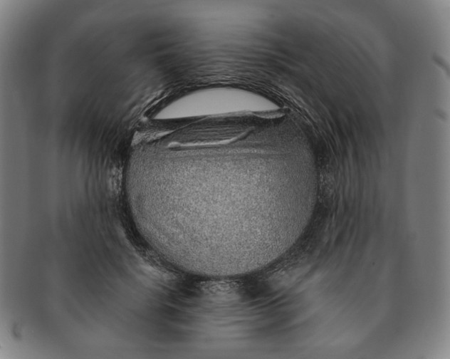 X0000091230652200708301517
