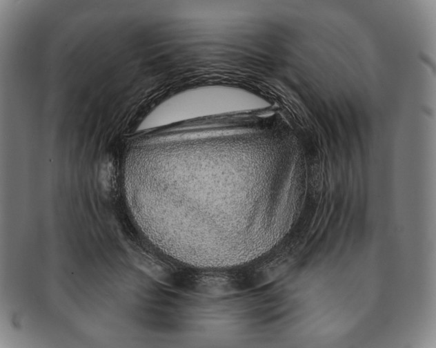 X0000091230653200708301517