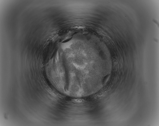 X0000091230654200708301517
