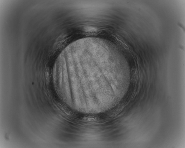 X0000091230655200708301517