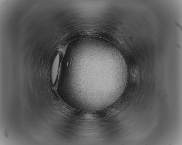 X0000091230657200708301517