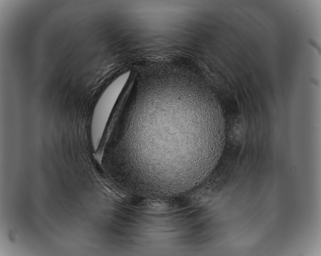 X0000091230658200708301517