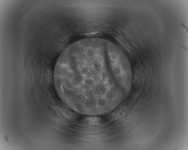 X0000091230659200708301517