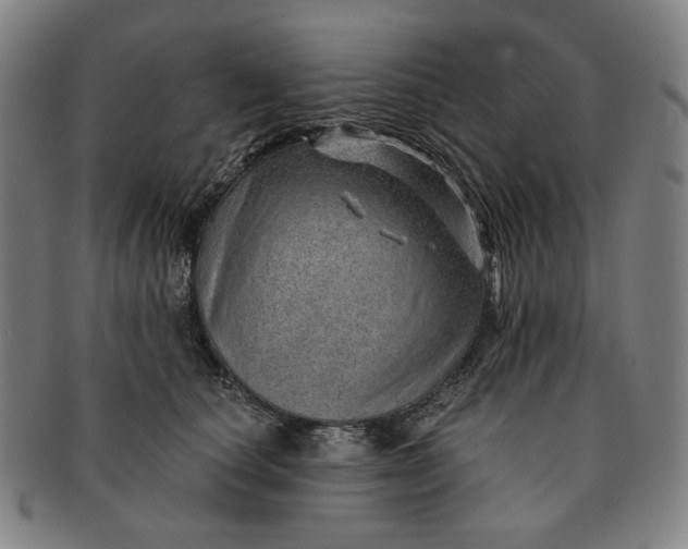 X0000091230660200708301517