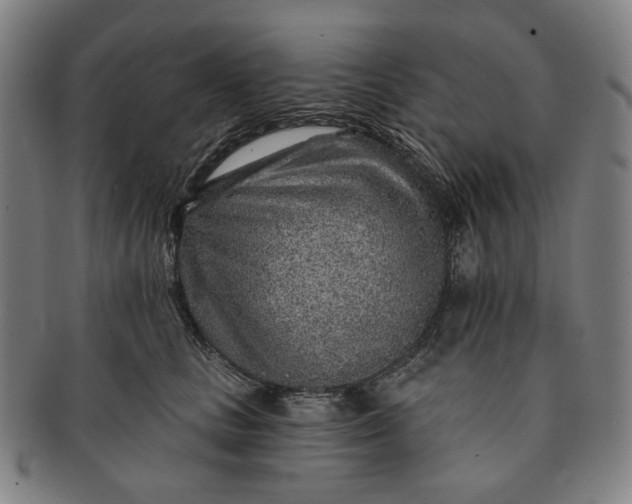 X0000091230661200708301517
