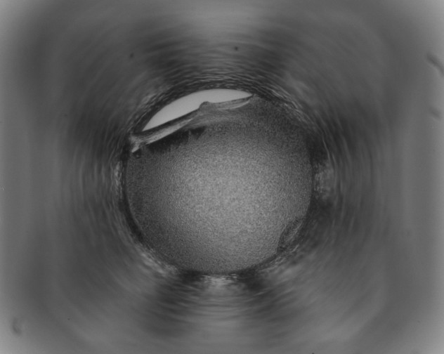 X0000091230662200708301517