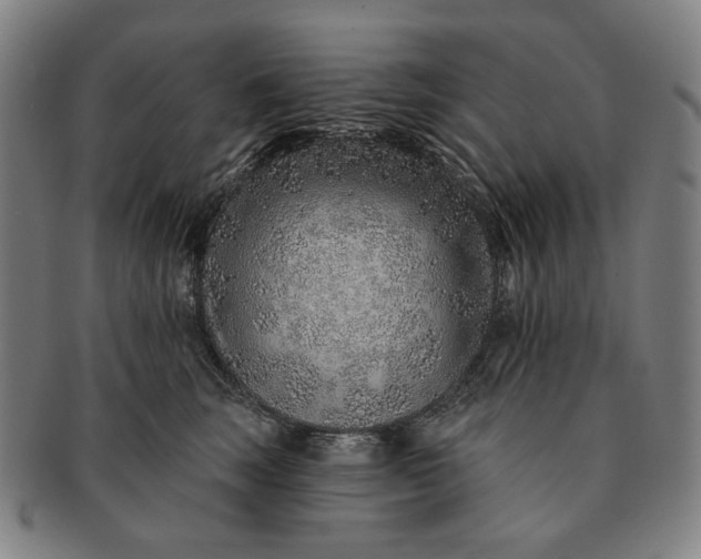 X0000091230663200708301517