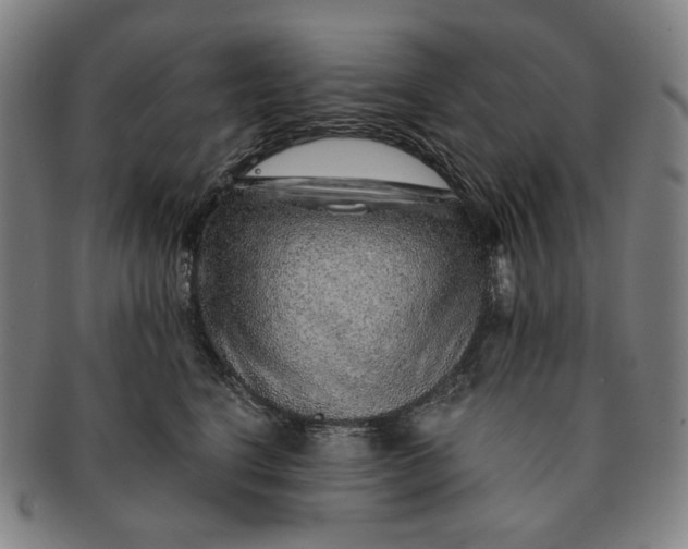 X0000091230664200708301517