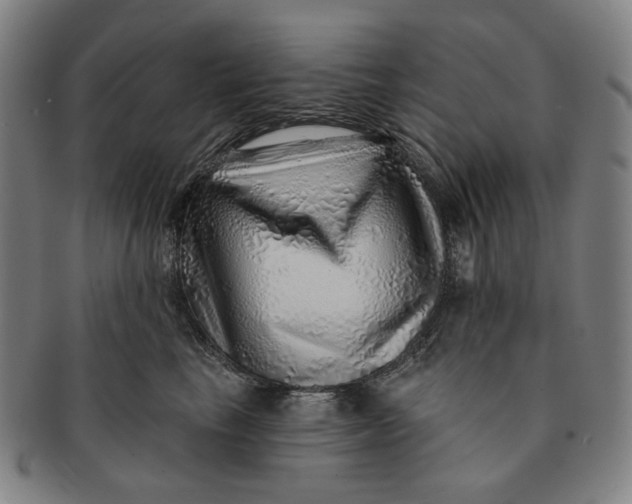X0000091230665200708301517