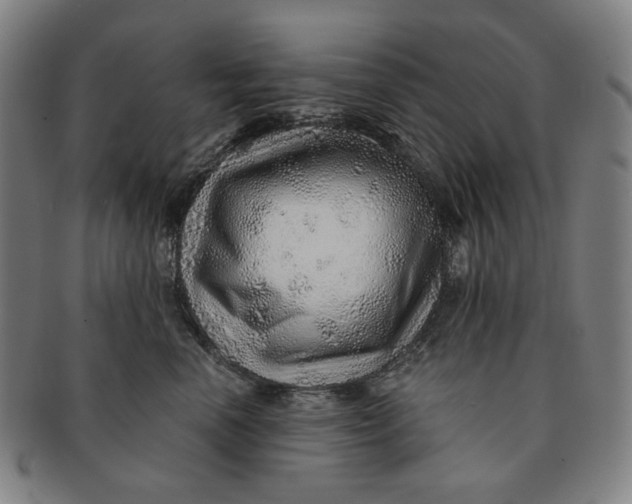 X0000091230666200708301517