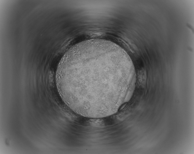 X0000091230667200708301517