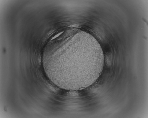 X0000091230668200708301517