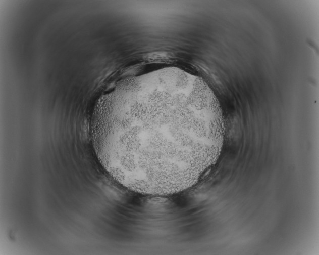 X0000091230669200708301517